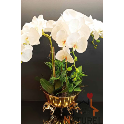 Küçük Orkideli Vazo (KLS-CCK)
