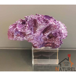 Kristal Kaideli Mercan (KRS055)